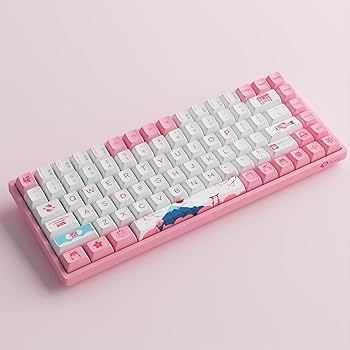 Amazon.com: Akko World Tour Tokyo 75% Hot-swappable